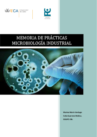 MEMORIA-PRACTICAS-MIND-GRUPO-8B-Marina-Marin-Verdugo-y-Celia-Guerrero-Molina.pdf