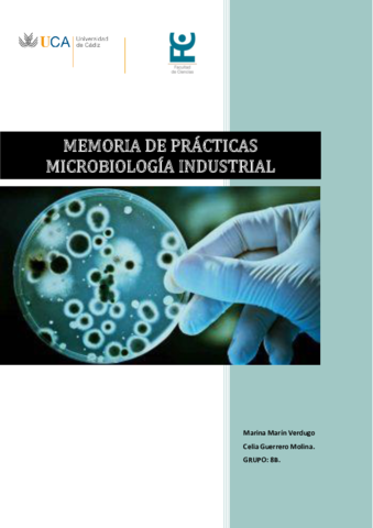 MEMORIA-PRACTICAS-MIND-GRUPO-8B-Marina-Marin-Verdugo-y-Celia-Guerrero-Molina.pdf