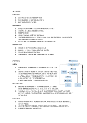 EXAMEN-FISIO-ANIMAL-17.pdf