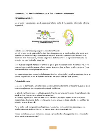 Reproductor-y-mamarias-embriologia.pdf