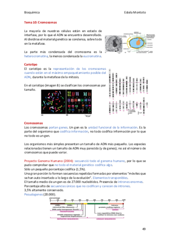 Bioquimica-tema-10-2020-21.pdf