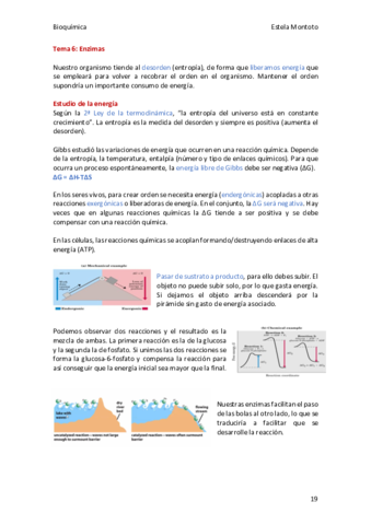 Bioquimica-tema-06-2020-21.pdf