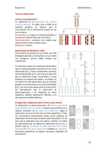 Bioquimica-tema-12-2020-21.pdf