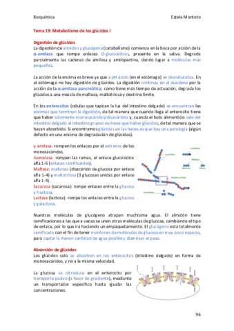 Bioquimica-tema-19-2020-21.pdf