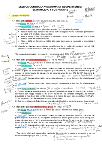 Derecho-Penal-T1.pdf