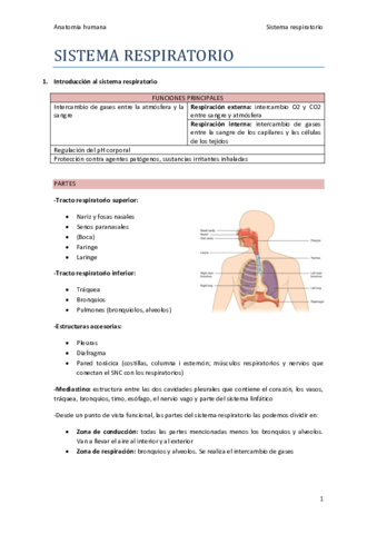 SISTEMA-RESPIRATORIO.pdf