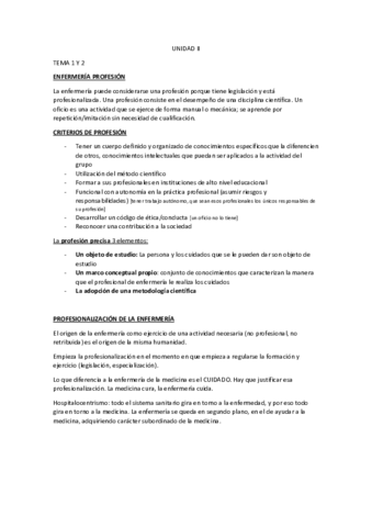 UD-II-Fundamentos.pdf