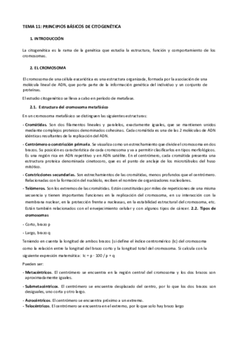 UD.11-Principios básicos de citogenética