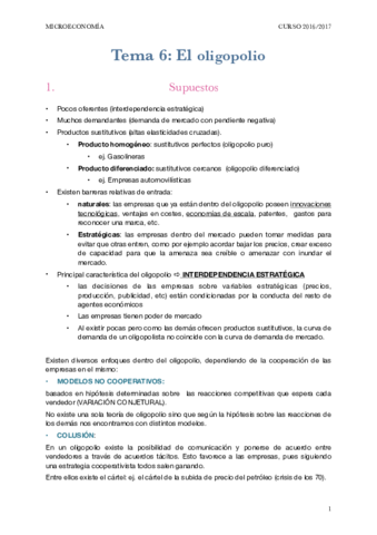 MICRO TEMA 6.pdf
