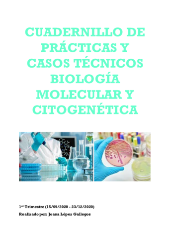 Prácticas y Casos Técnicos 1°TRIMESTRE 