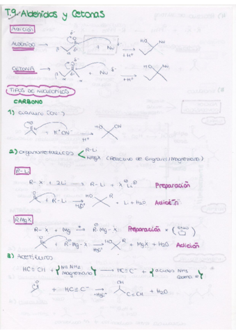 tema 9 aldehidos y cetonas.pdf