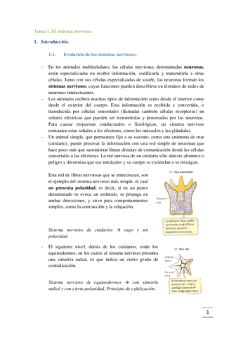 Bloque 3 Sist. Nervioso.pdf