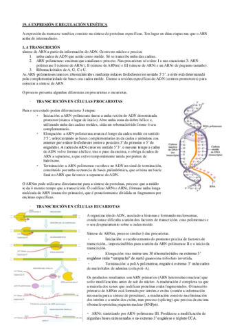 A-EXPRESION-E-REGULACION-XENETICA.pdf