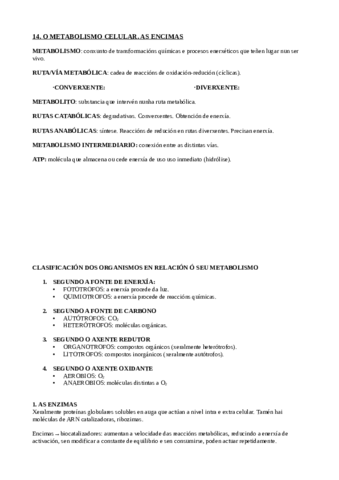 Metabolismo-celular.pdf