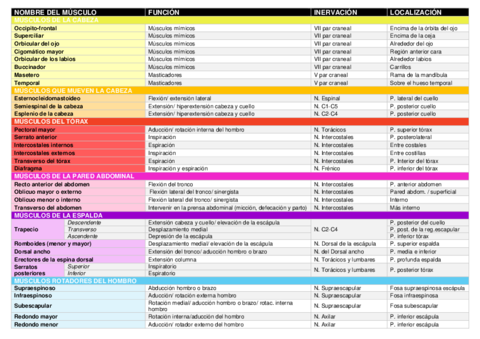 MUSCULOSs.pdf