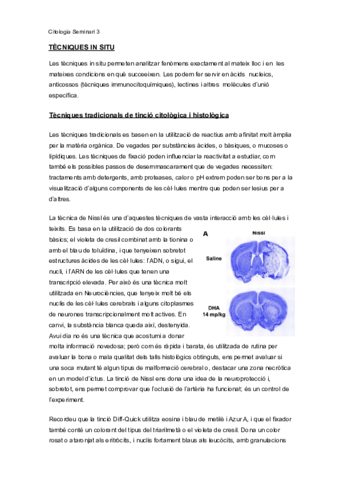 Seminari-3-Tecniques-in-situ.pdf