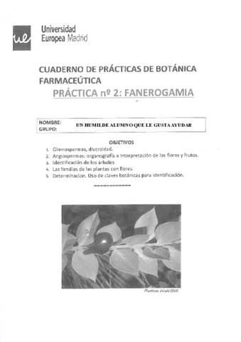 PRACTICA-2-FANEROGAMIA-2-FIN.pdf