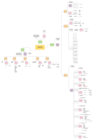 ORACIONES-COMPUESTAS.pdf