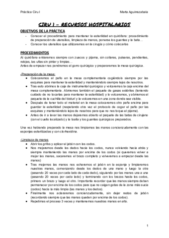 practica-ciru-1.pdf