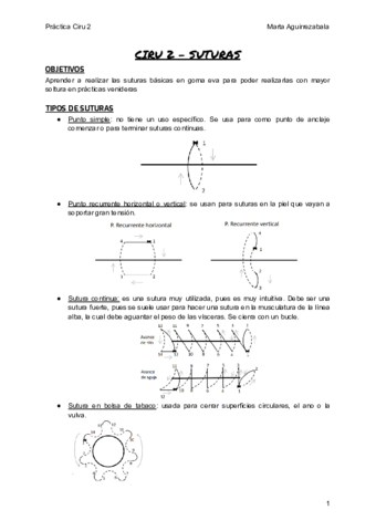 practica-ciru-2.pdf