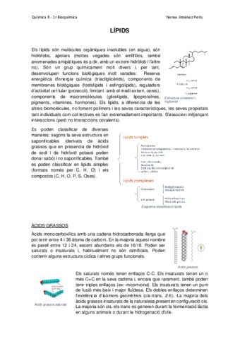LIPIDS-Nerea-Jimenez.pdf