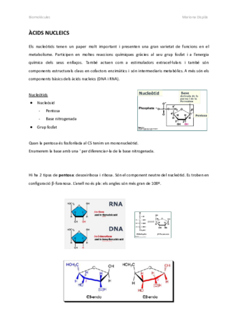 acids-nucleics.pdf