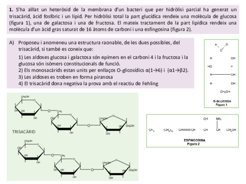 Solucio-problemes-biomolecules-13-de-maig.pdf