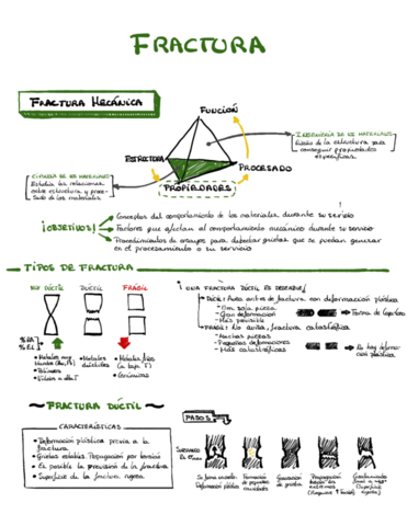 Fractura.pdf