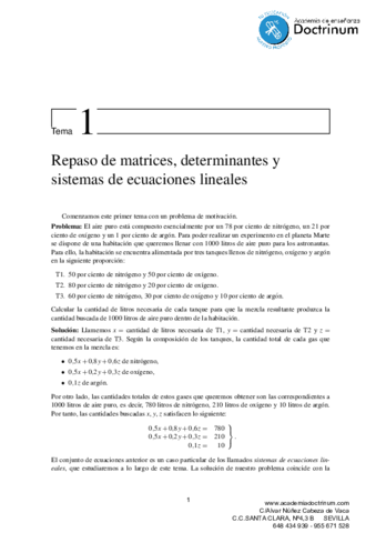 teoriamatricesdeterminantes.pdf