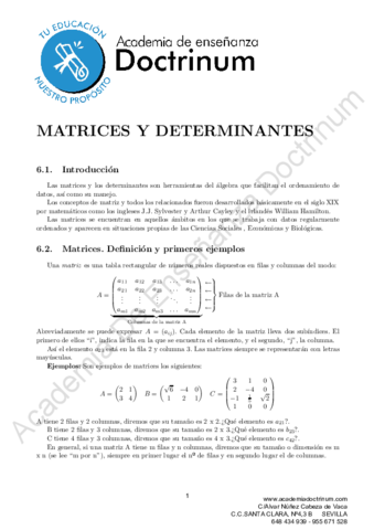 matricesdeterminantes.pdf