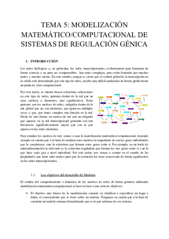 TEMA-5-MODELIZACION-MATEMATICO-COMPUTACIONAL.pdf