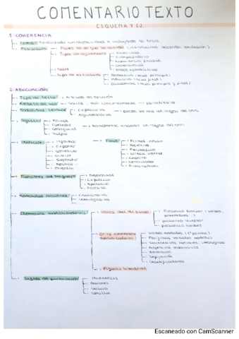 comentario-de-texto-lengua.pdf