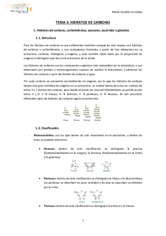 TEMA-3-NUTRICION-Y-DEPORTE.pdf