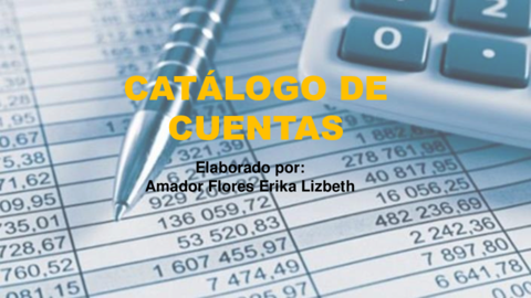 CATALOGO-DE-CUENTAS.pdf