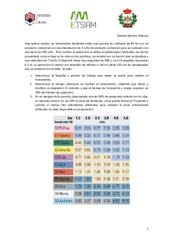 Problema-regulacion-Andrea-Marron-Jimenez.pdf