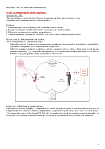 Tema-10.pdf