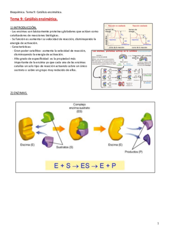 Tema-9.pdf