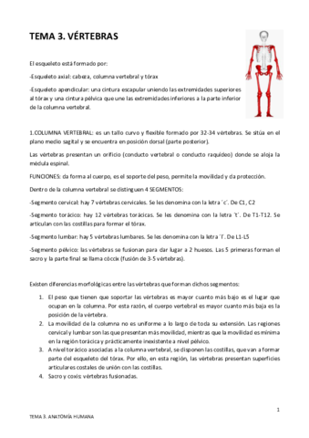 TEMA-3.pdf