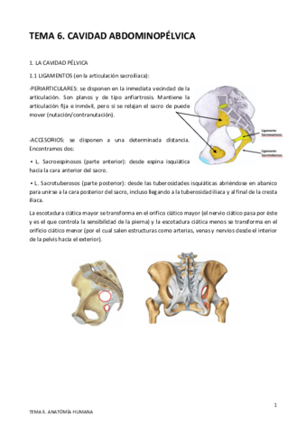 TEMA-6.pdf