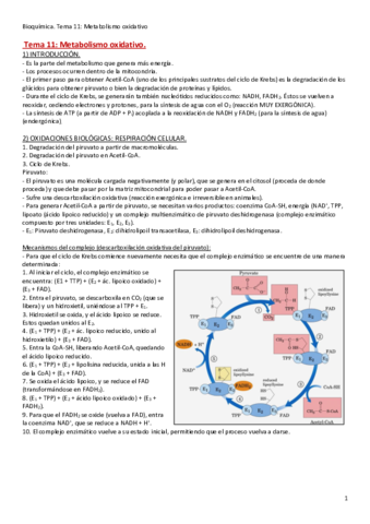 Tema-11.pdf