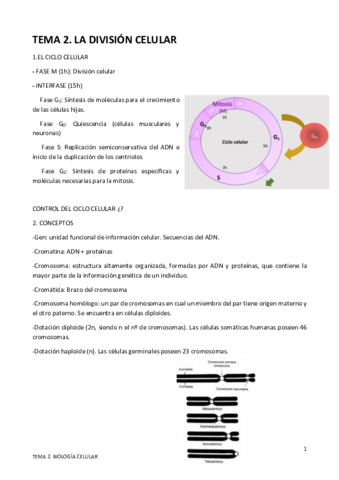 TEMA-2.pdf
