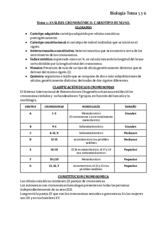 TEMA-5-Y-6-EXAMEN.pdf