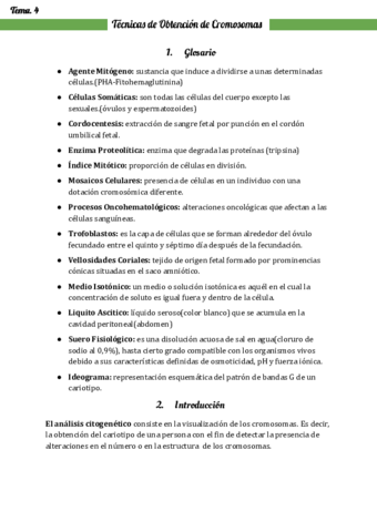 TEMA-4.pdf