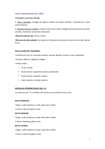 2cuatri-anatomia.pdf