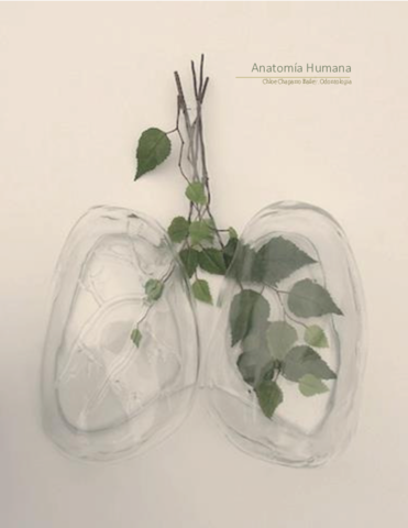 Anatomia-Humana-bloque-1-y-medio-esplagno-Chloe.pdf