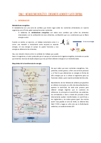 TEMA-2-METABOLISMO-ENERGETICO.pdf