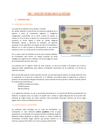 TEMA-5-NUTRICION-Y-METABOLISMO-DE-LAS-PROTEINAS-1.pdf