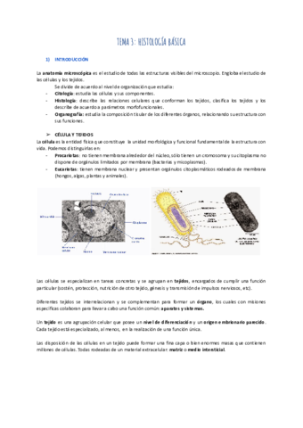 TEMA-3-HISTOLOGIA-BASICA.pdf