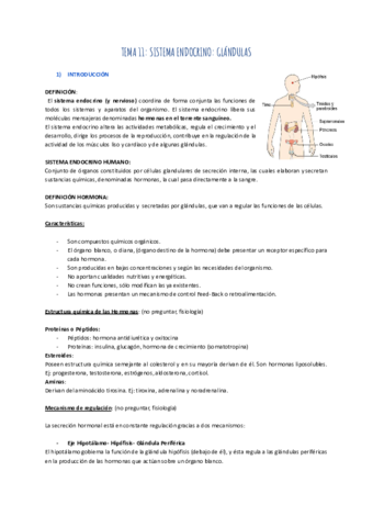 TEMA-11-SISTEMA-ENDOCRINO-GLANDULAS.pdf