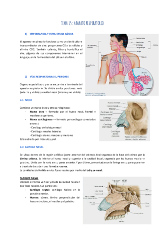 TEMA-15-APARATO-RESPIRATORIO.pdf